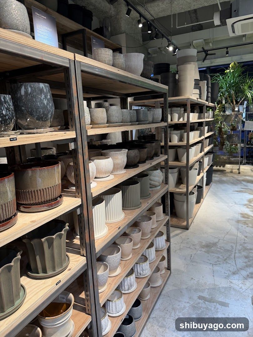 garage SHIBUYA Living with plants