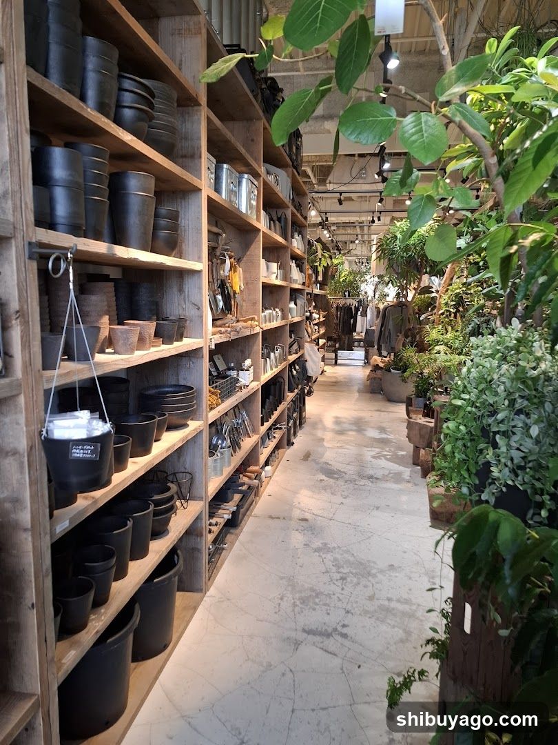 Interior of a plant and pottery shop