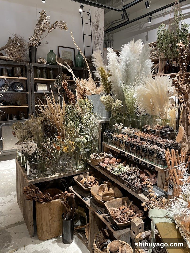 Dried Flower and Botanical Shop Interior