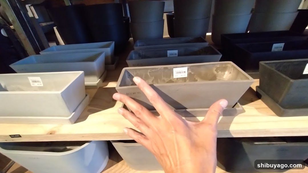 Plant Pots Display