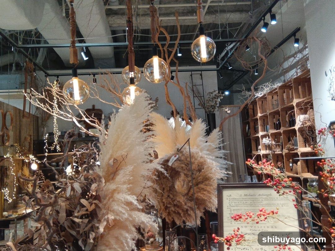 Interior of a rustic home decor store