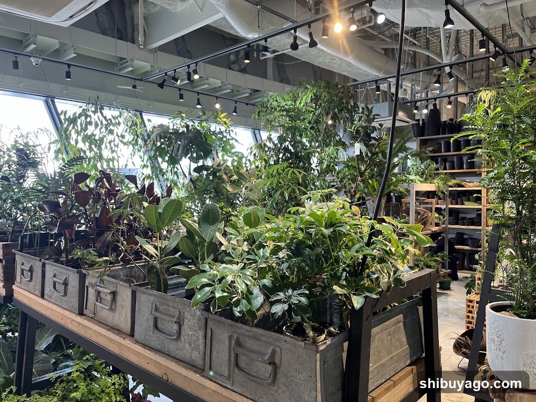 Indoor Plant Shop Interior