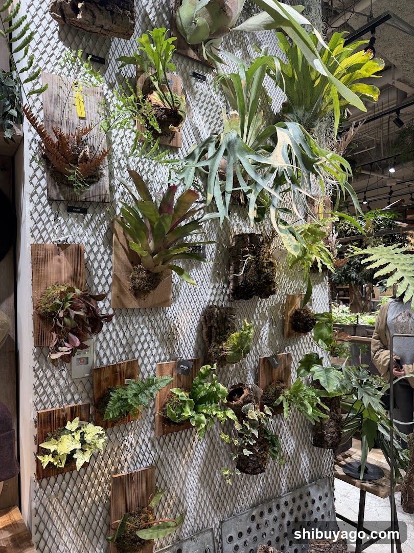 Indoor Plant Wall Display