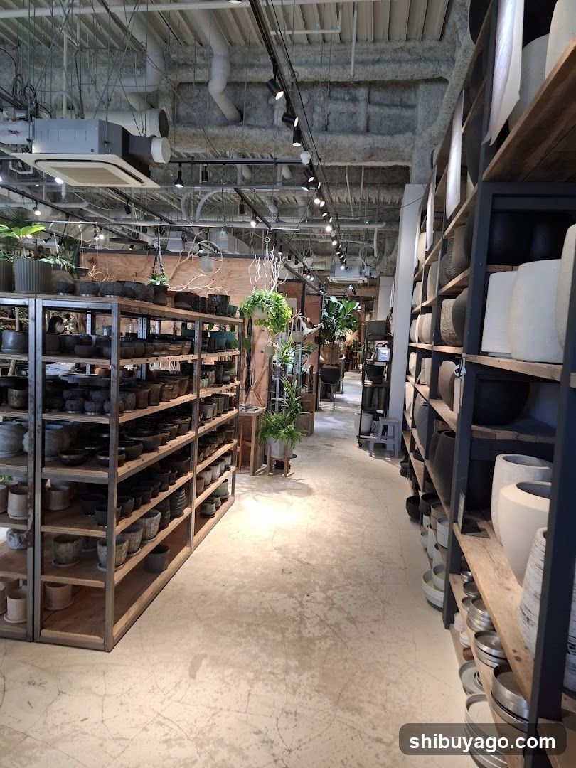 Interior of a pottery or home goods store