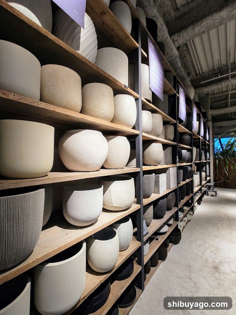 Pottery Display Shelf