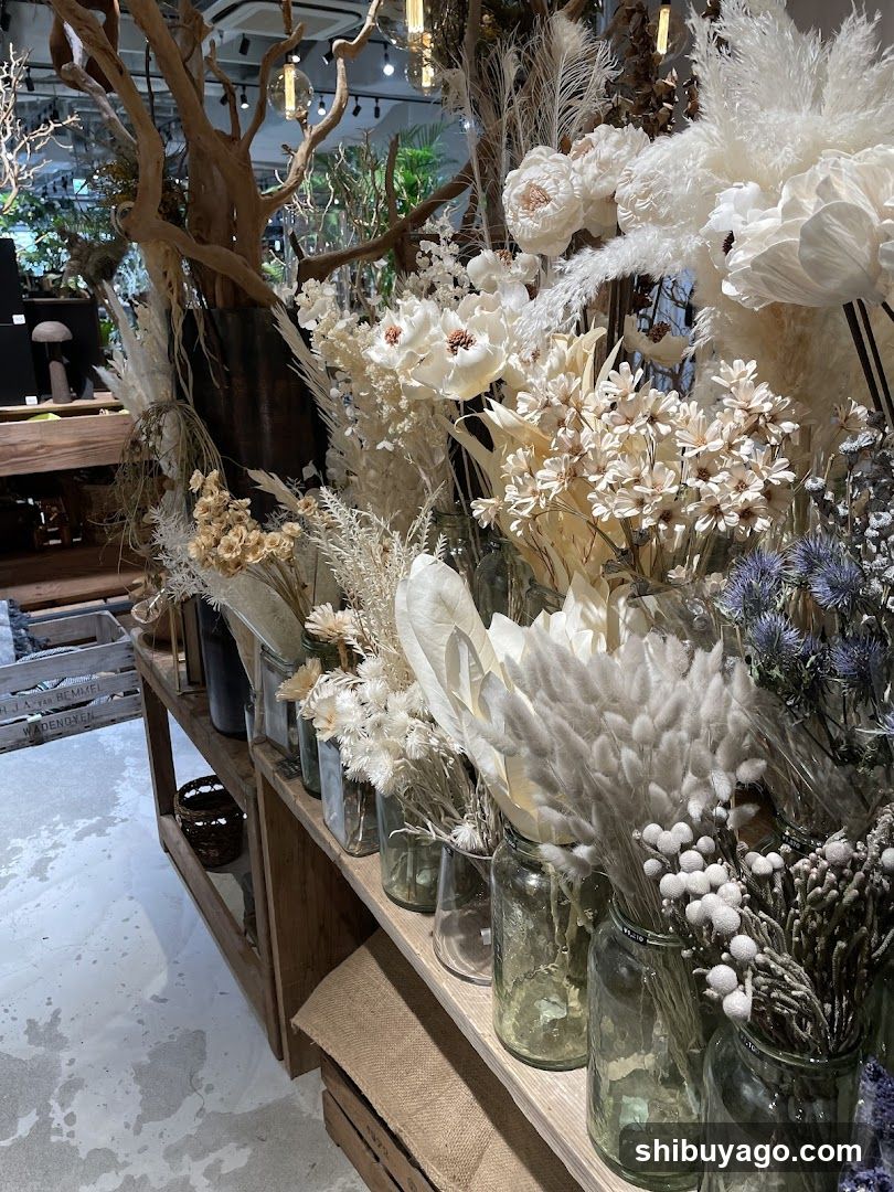 Dried Flower Display