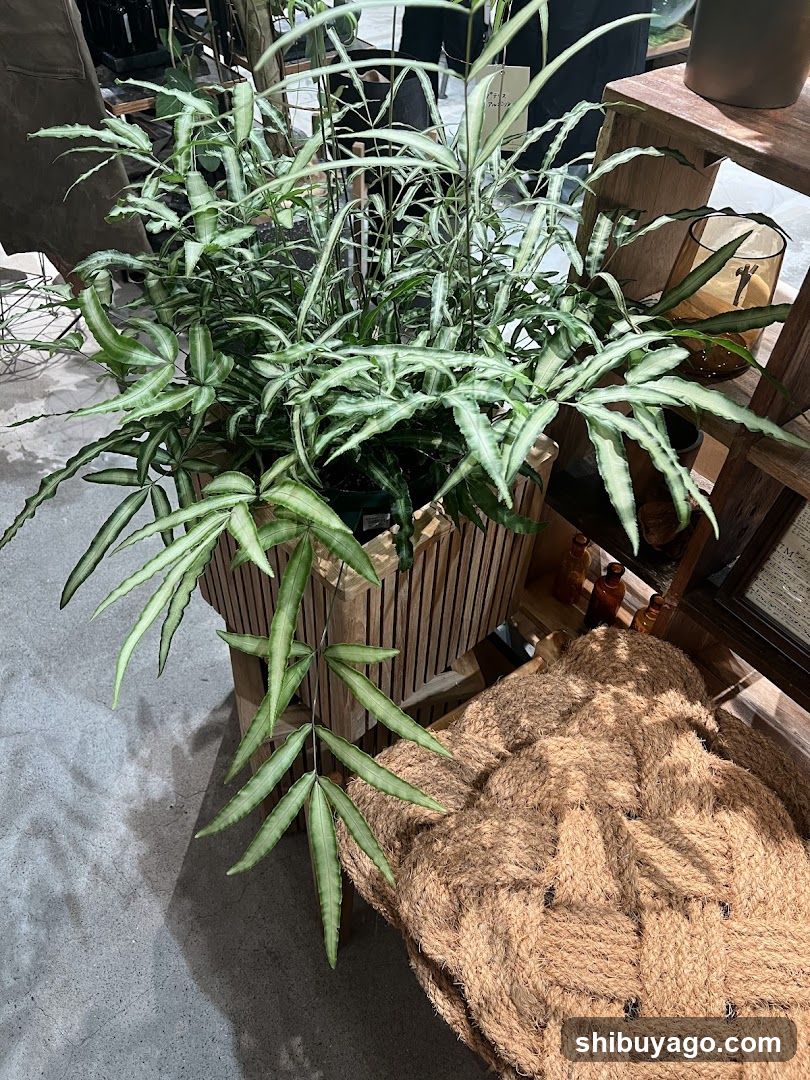 Indoor Plant Display with Wooden Furniture
