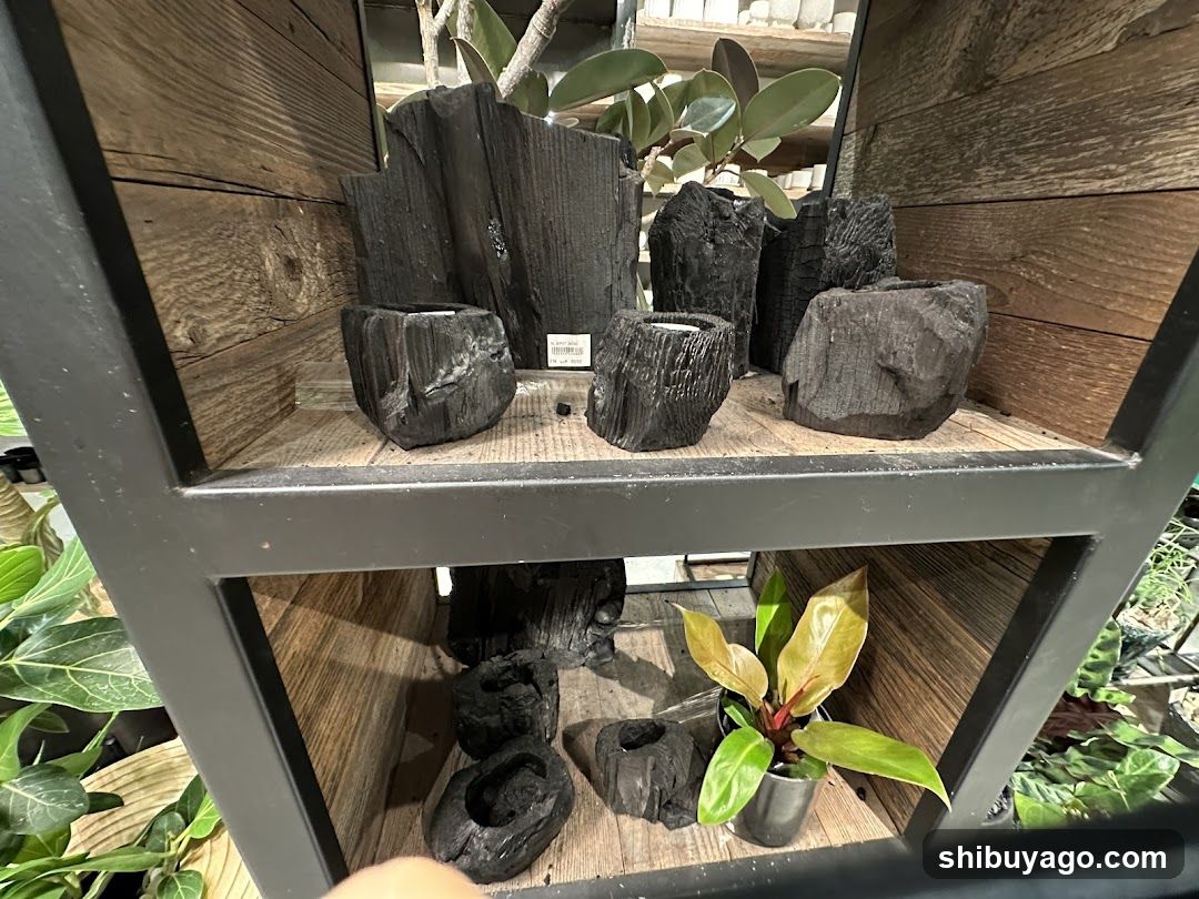 Charcoal Planters Display
