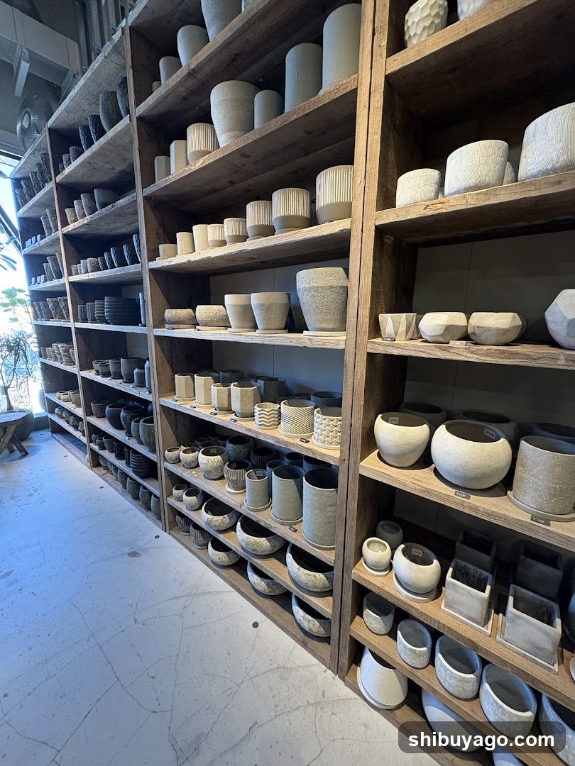 Pottery Shop Interior