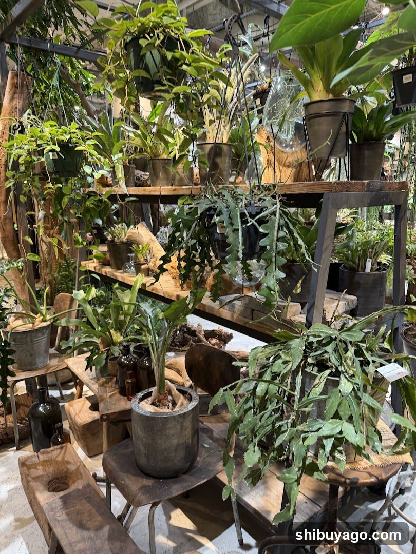 Plant Shop Interior