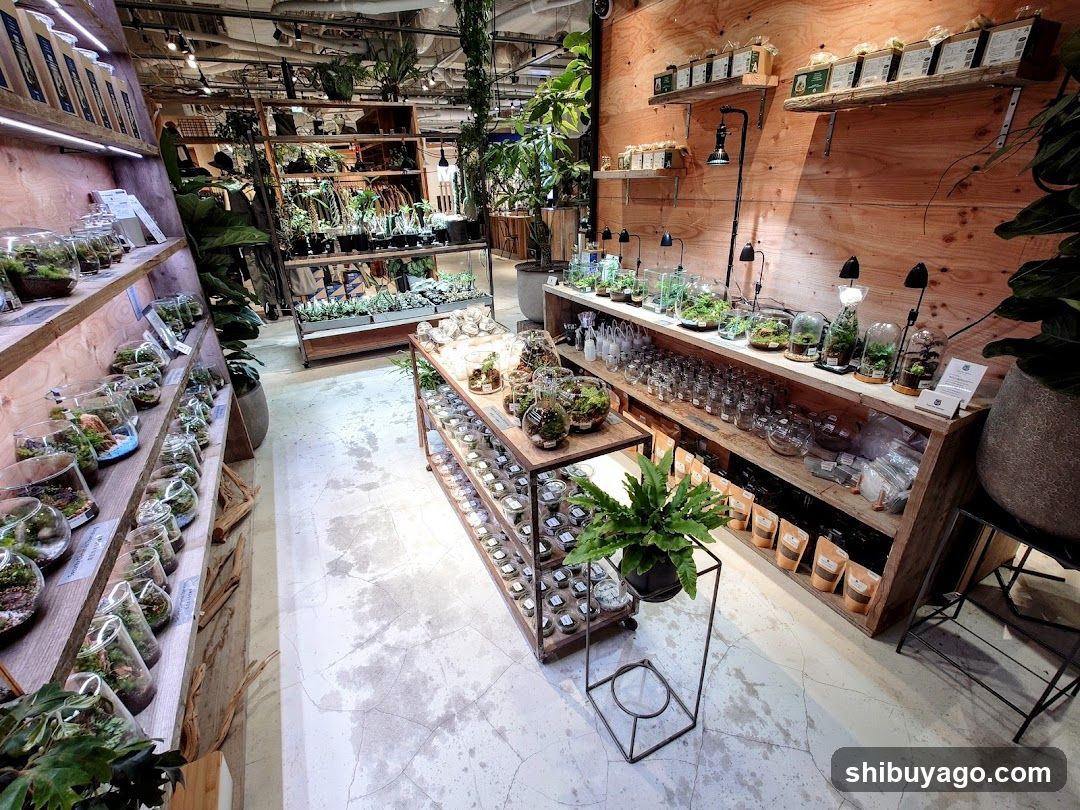Plant Shop Interior
