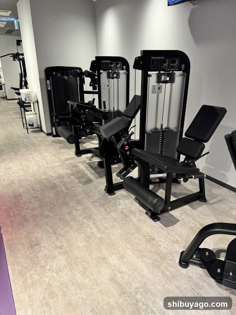 Gym Interior with Exercise Equipment