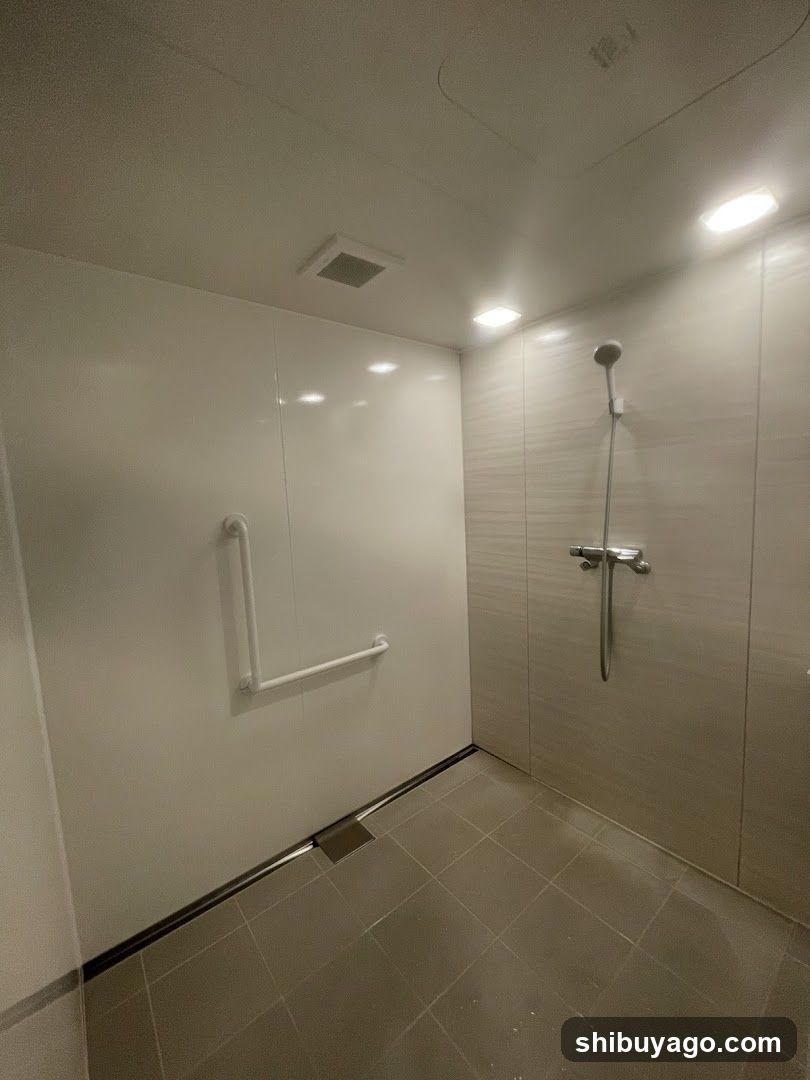 Modern Shower Room Interior