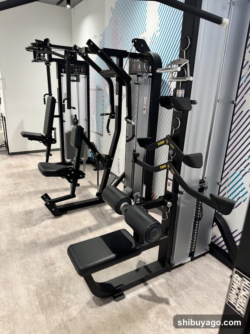 Gym Interior with Cable Machines