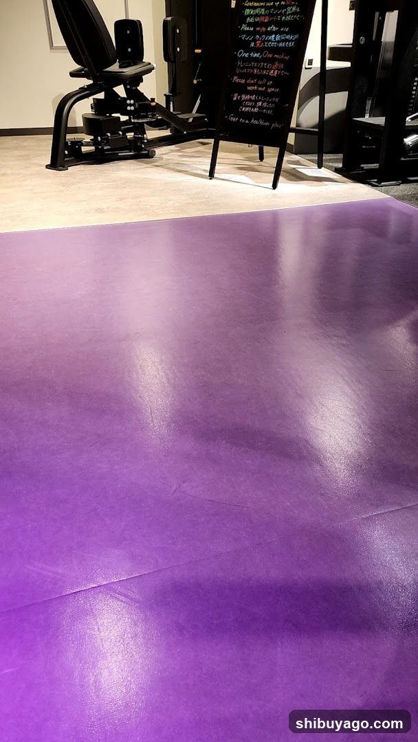 Gym Interior with Purple Flooring