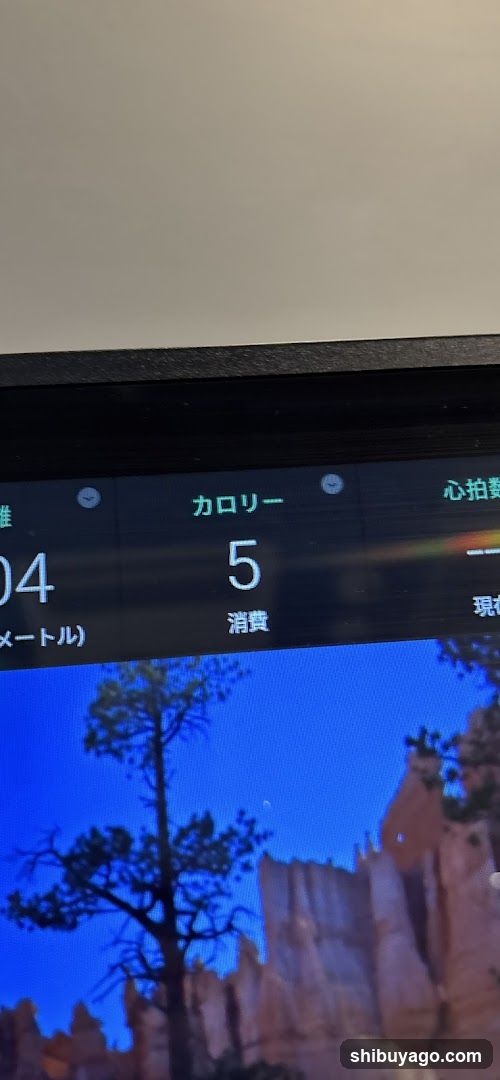 Digital Display with Calorie Counter