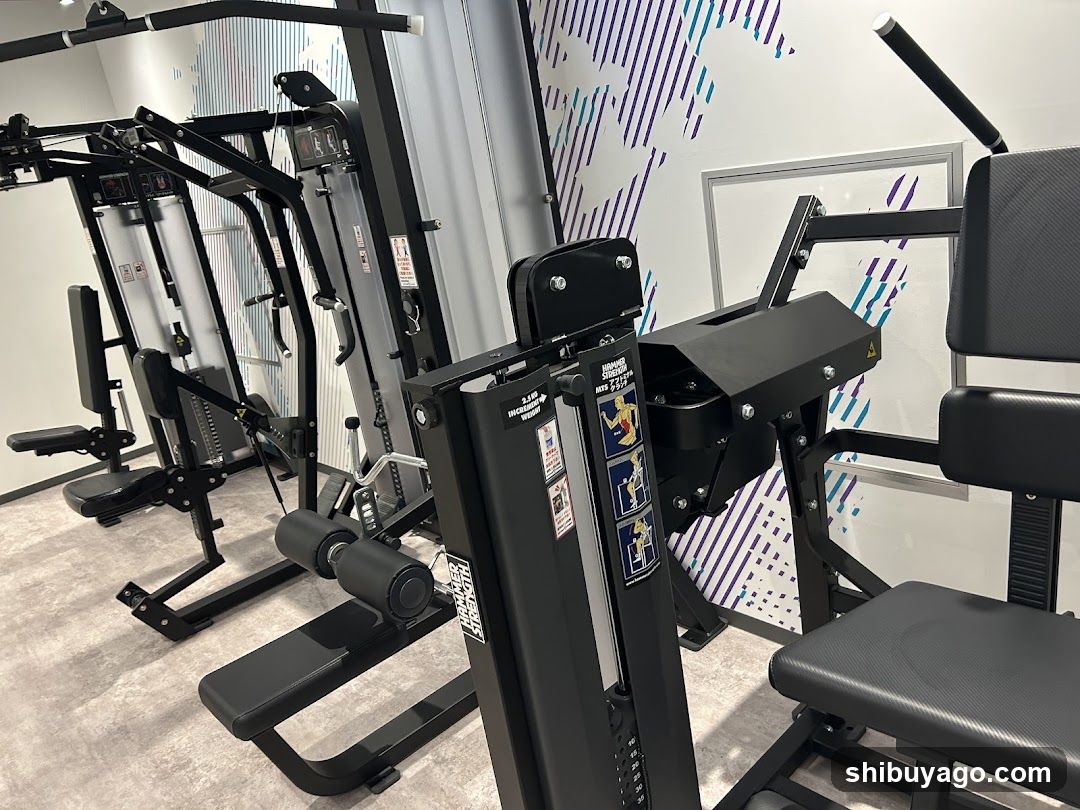Gym Interior with Exercise Equipment
