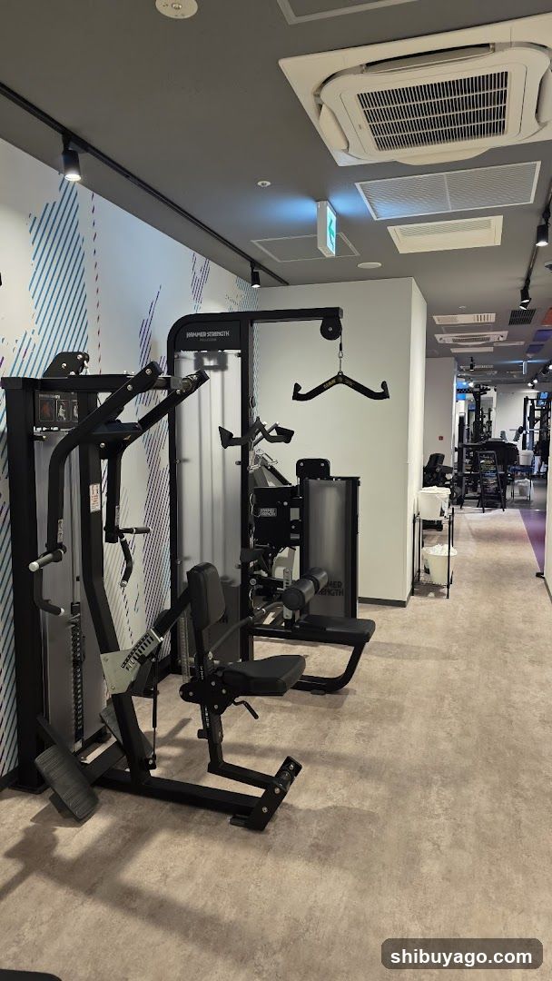 Gym Interior View