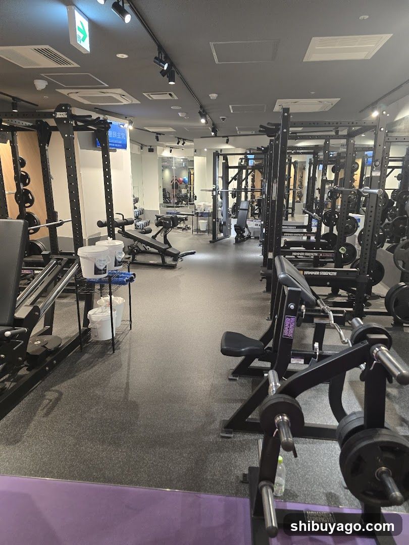 Gym Interior
