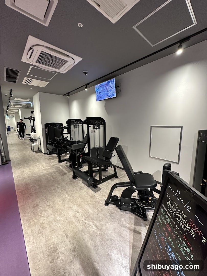 Gym Interior