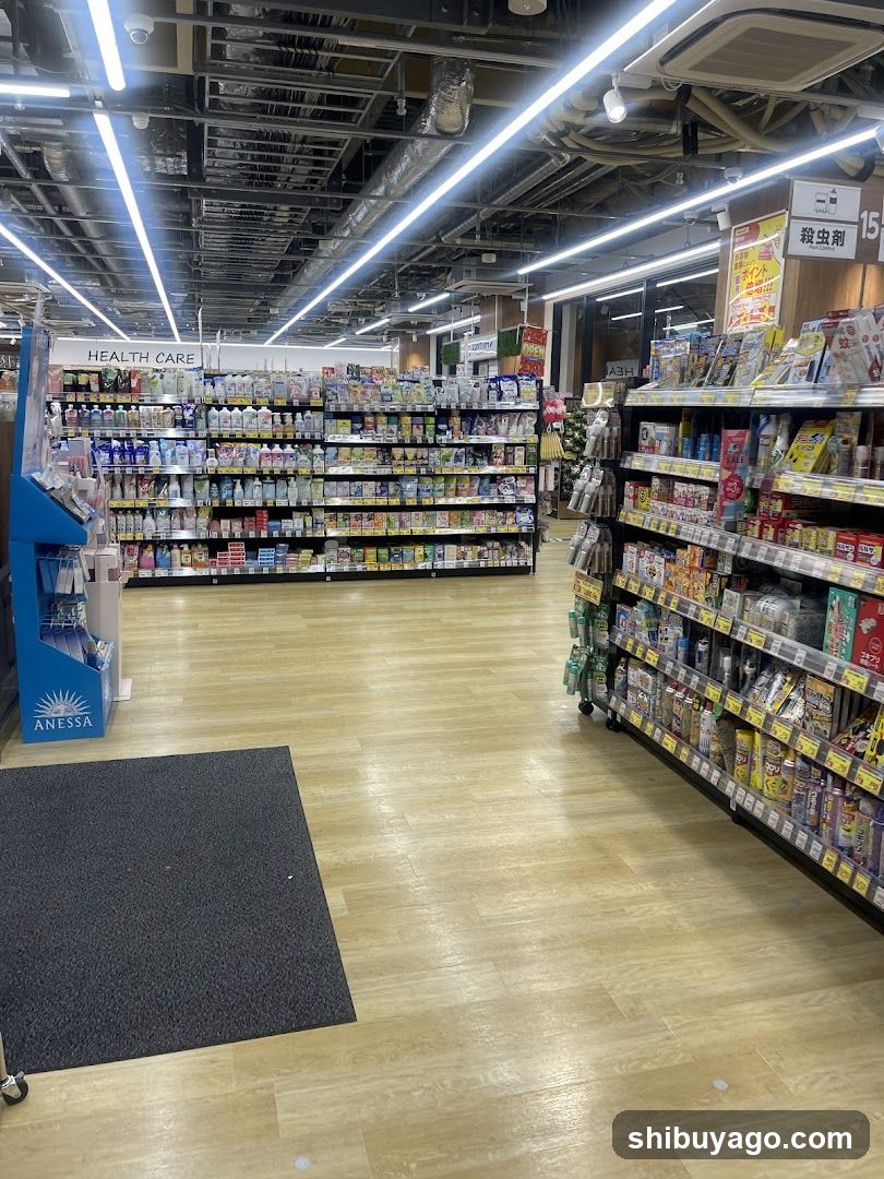 Grocery Store Interior