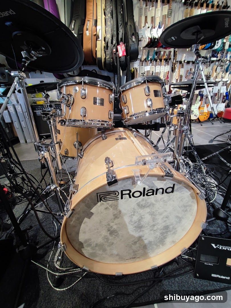 Roland Drum Kit Display