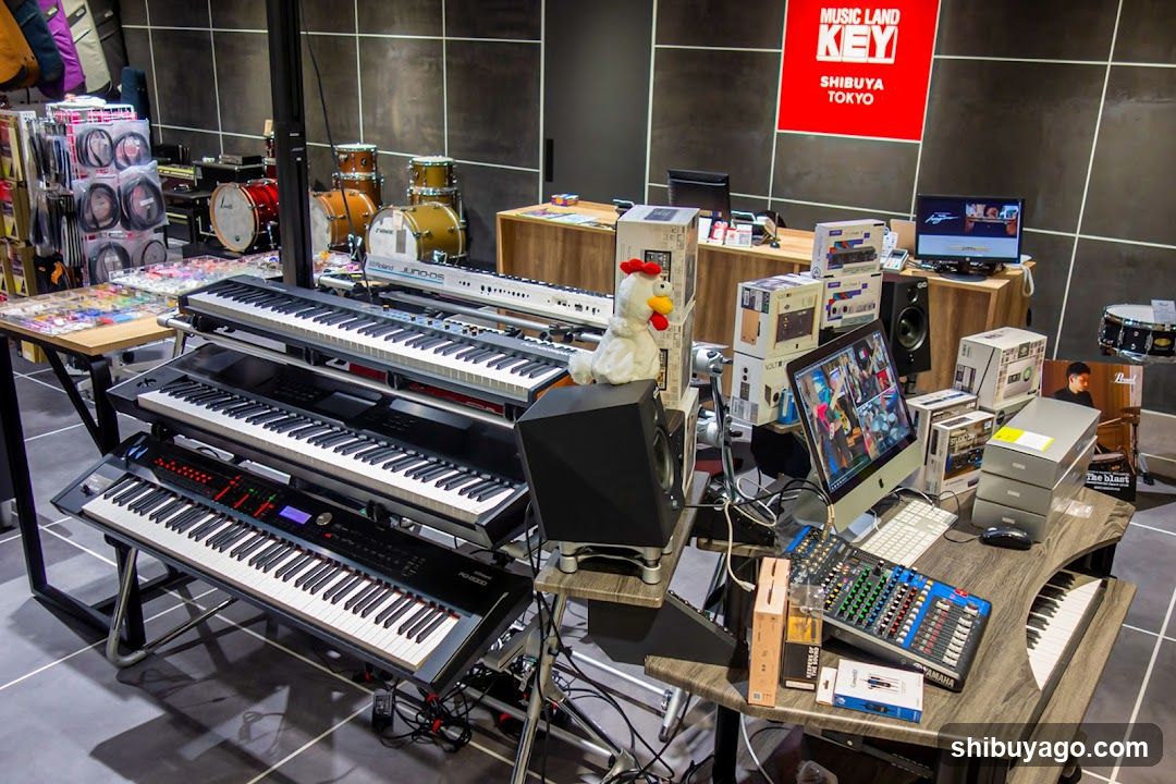 Music Store Interior Display