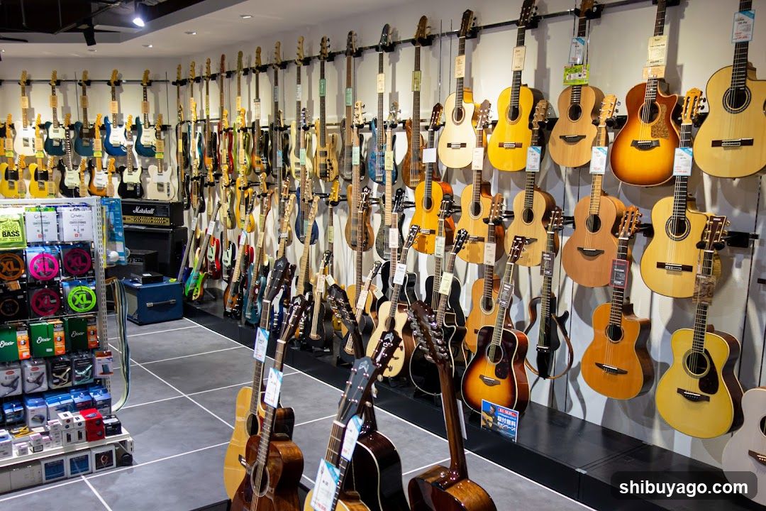Guitar Shop Interior Display