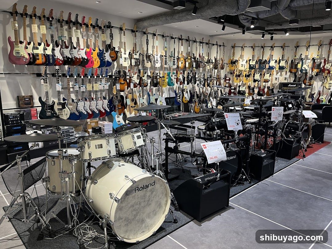 Guitar and Drum Store Interior