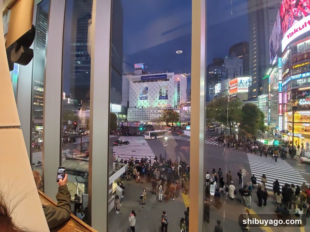 Shibuya Crossing Night View