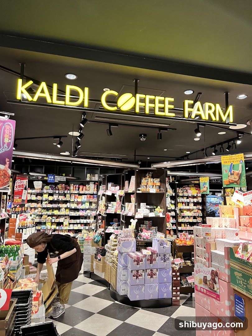 Kaldi Coffee Farm Interior