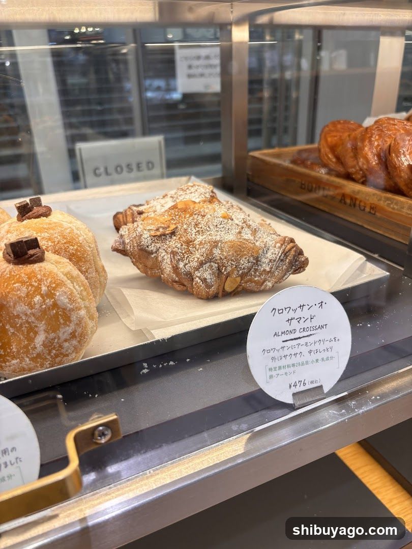 Bakery Display Case