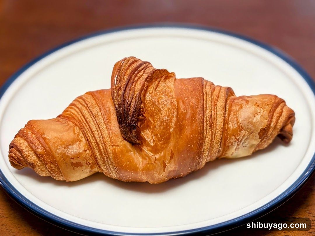 Croissant on a plate