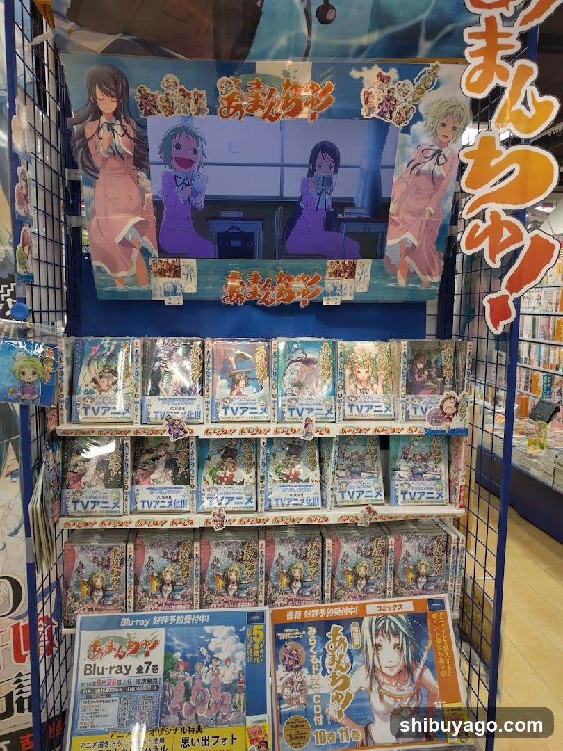 Anime merchandise display