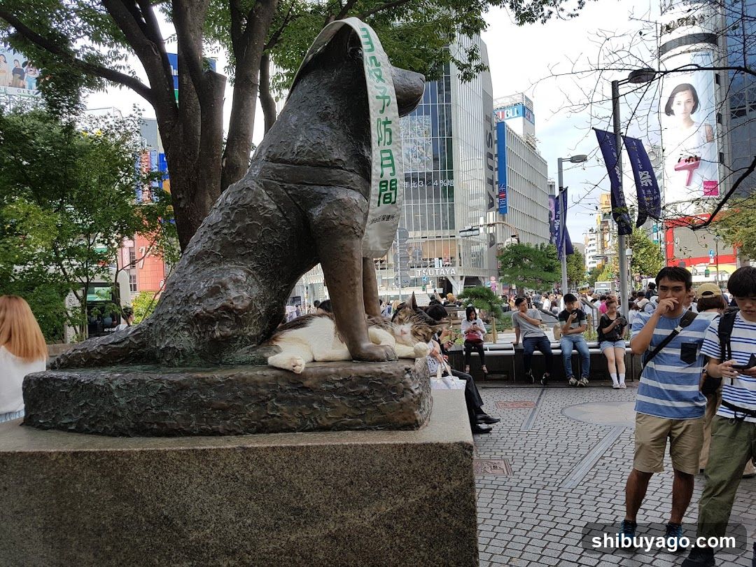 Cat and Dog Statue in Urban Setting