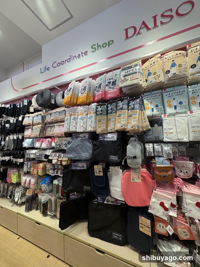Daiso Store Interior