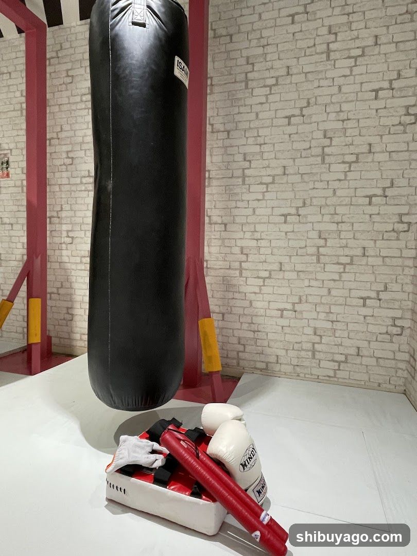 Gym Interior with Punching Bag and Boxing Gear