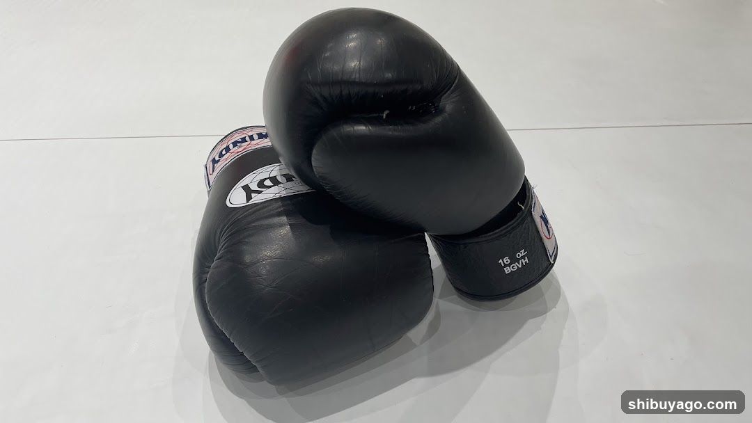 Black Boxing Gloves