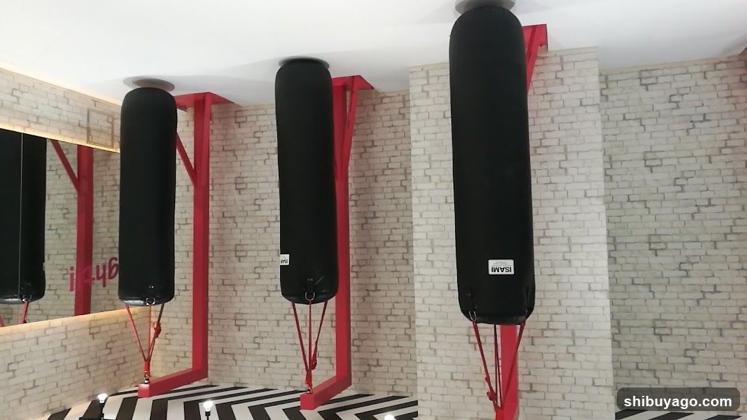 Gym Interior with Hanging Punching Bags