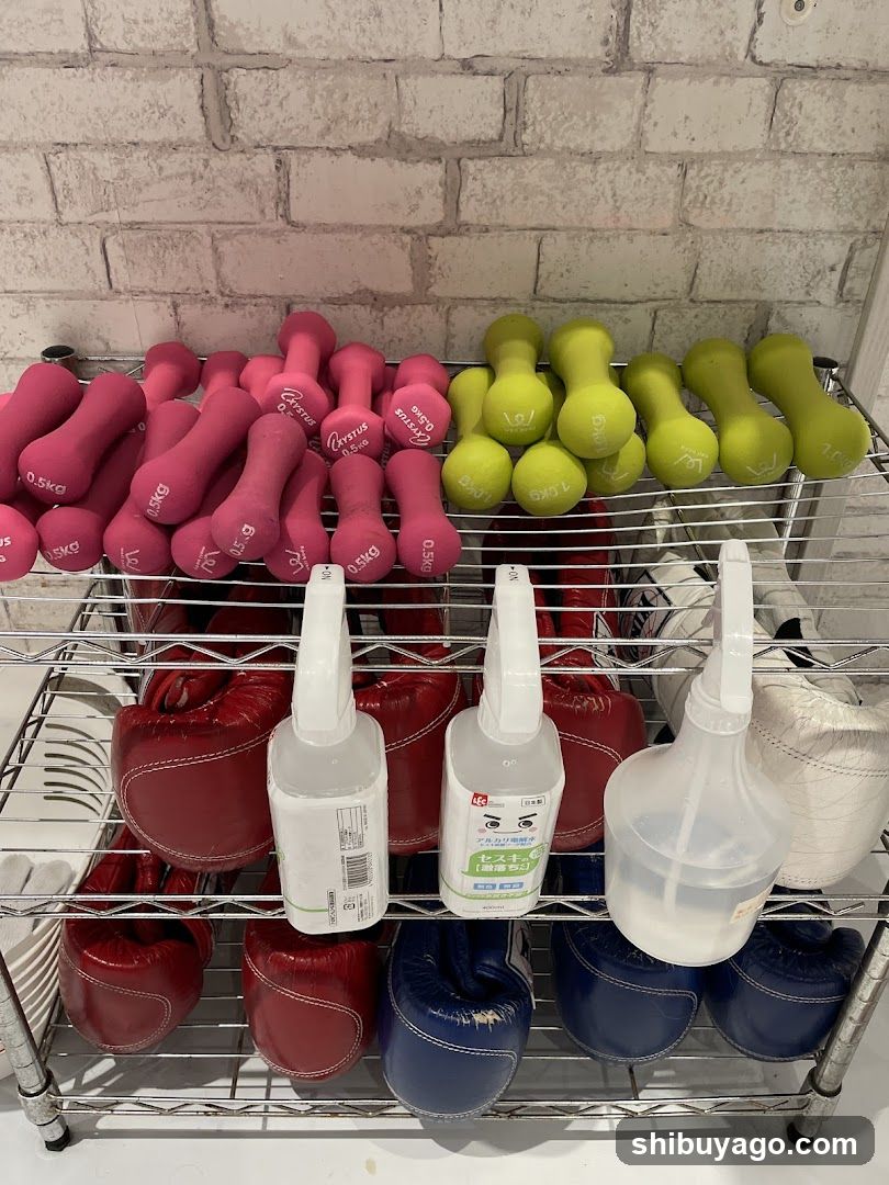 Dumbbells and Boxing Gloves on Rack