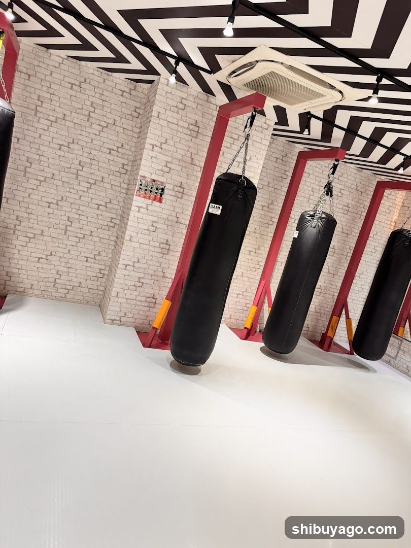 Gym Interior with Punching Bags