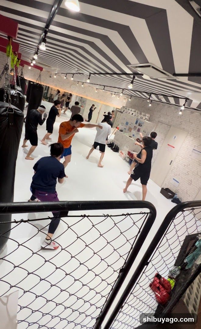MMA Training Session