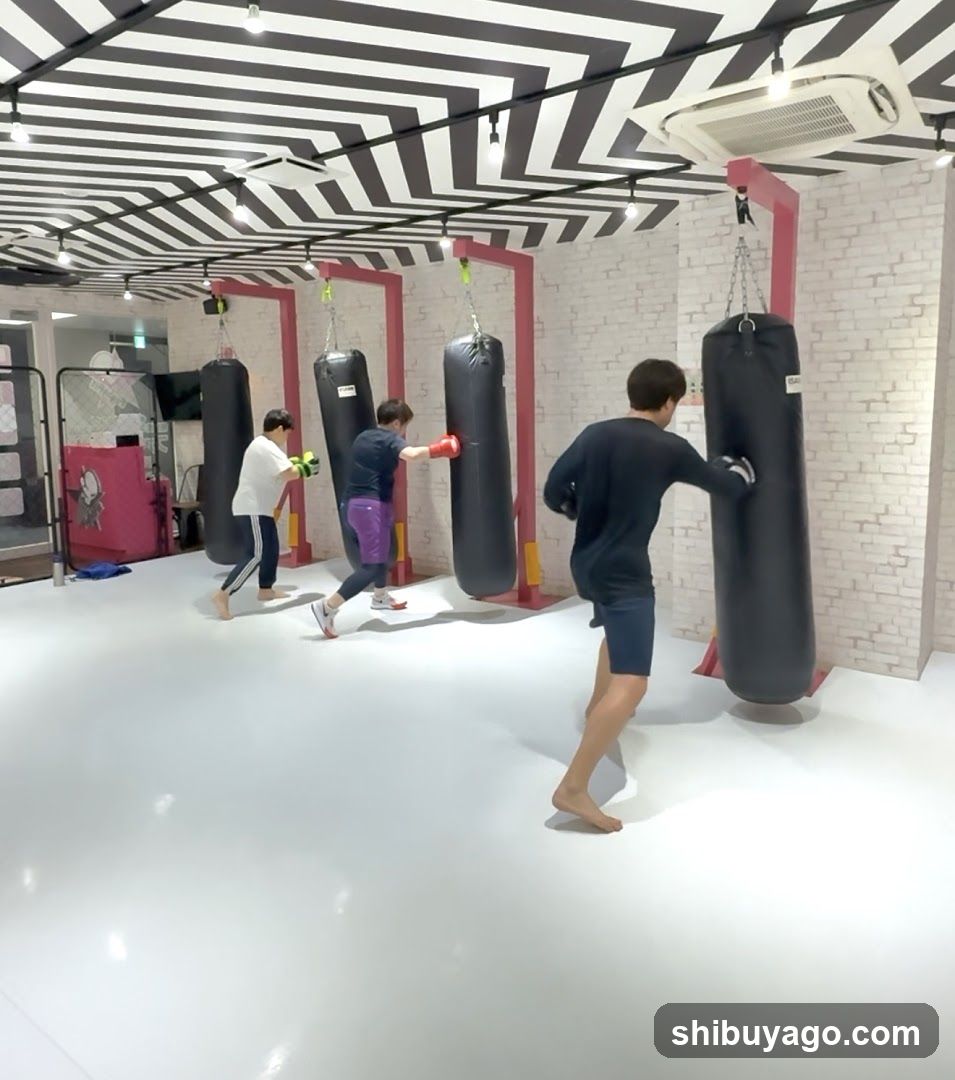 Gym Interior with Punching Bags