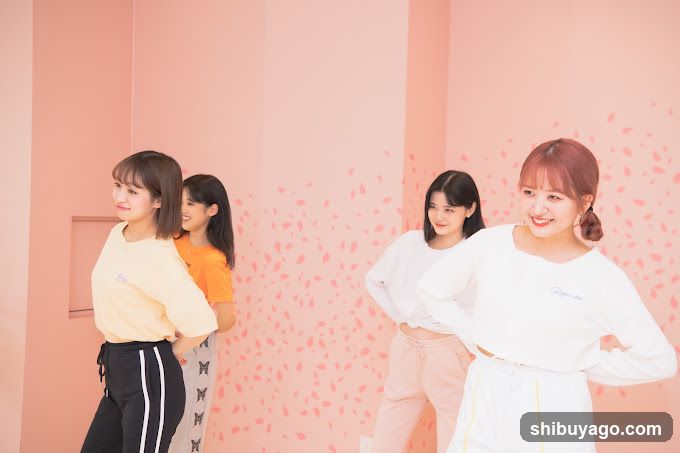 Group of women in a pink room