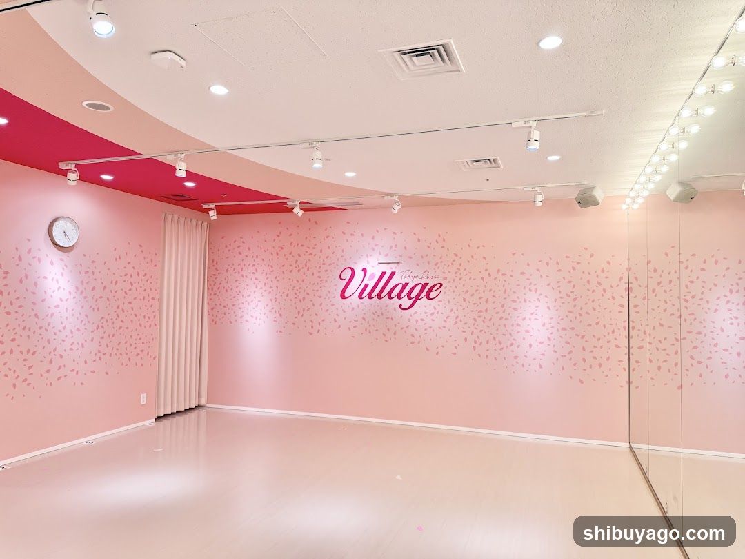 Village Dance Studio Interior