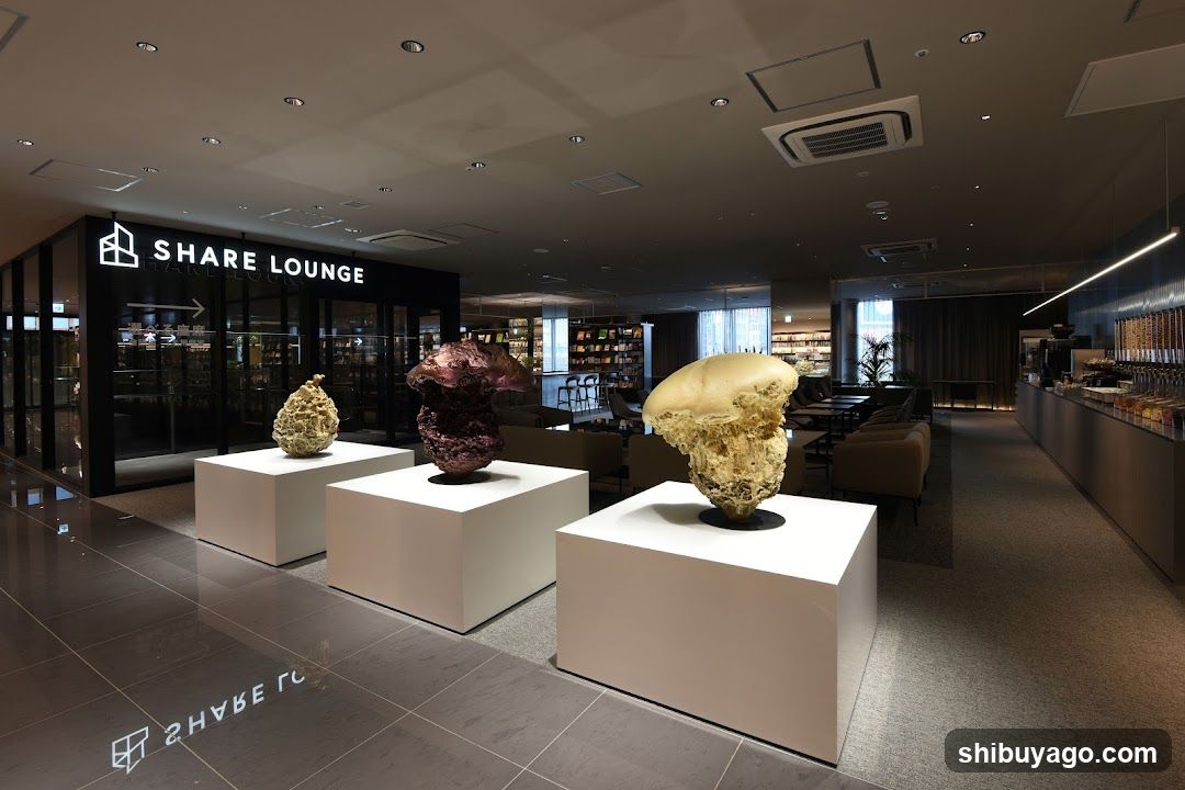 SHARE LOUNGE