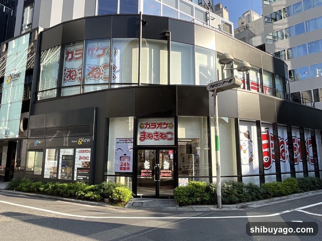 Karaoke Manekineko shibuya centergai annex store