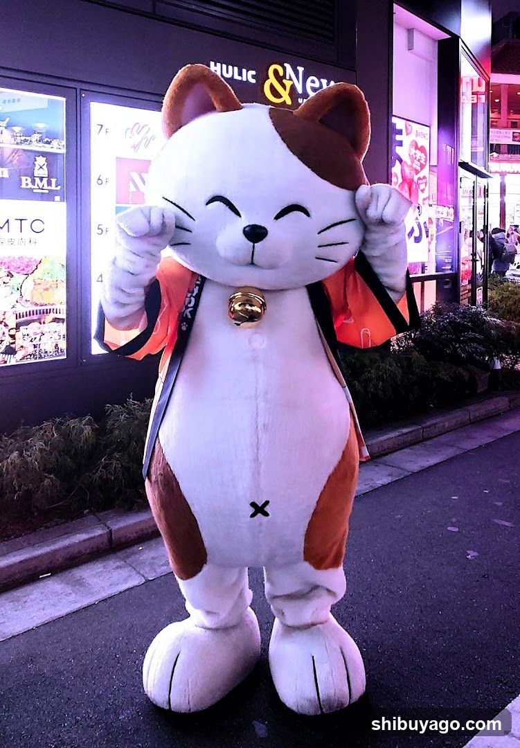 Cat Mascot on Street