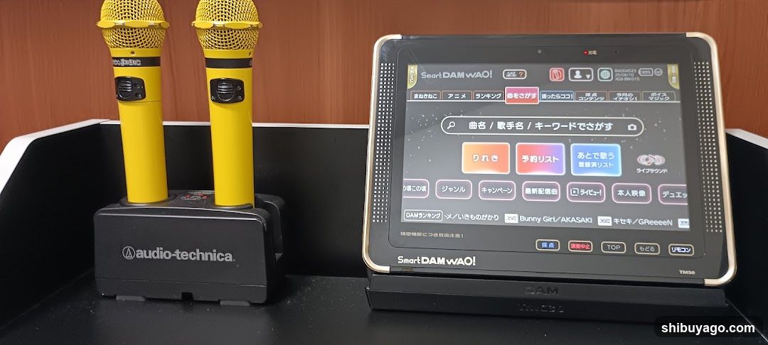 Karaoke System Setup