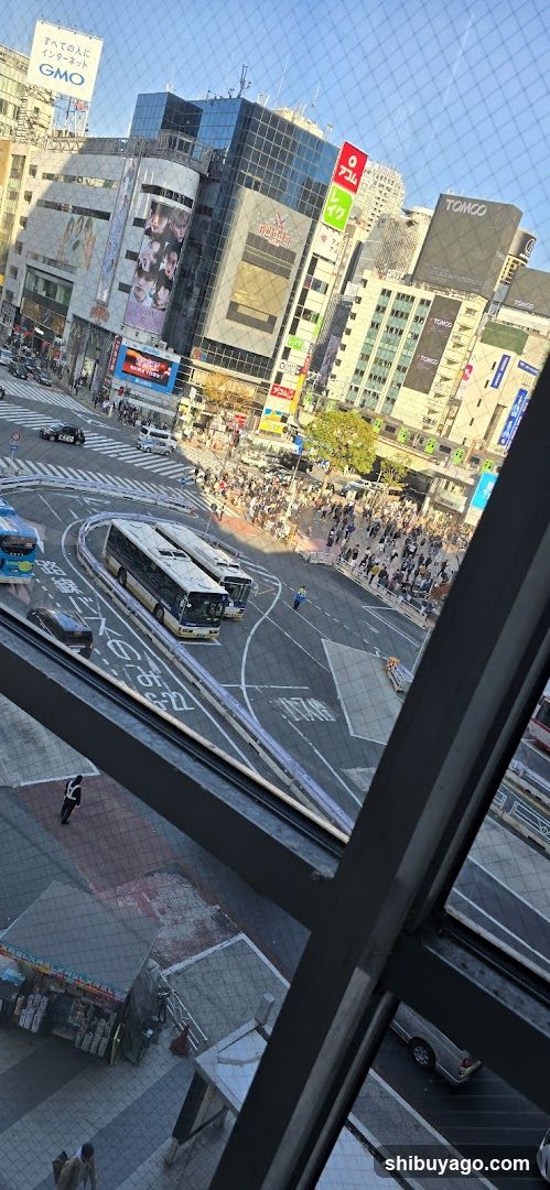 Urban Intersection View from High Floor